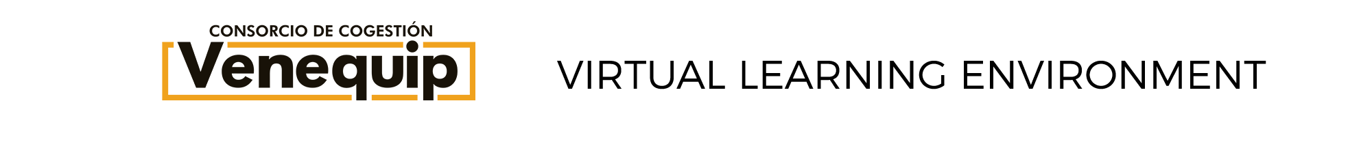 Virtual Learning Environment